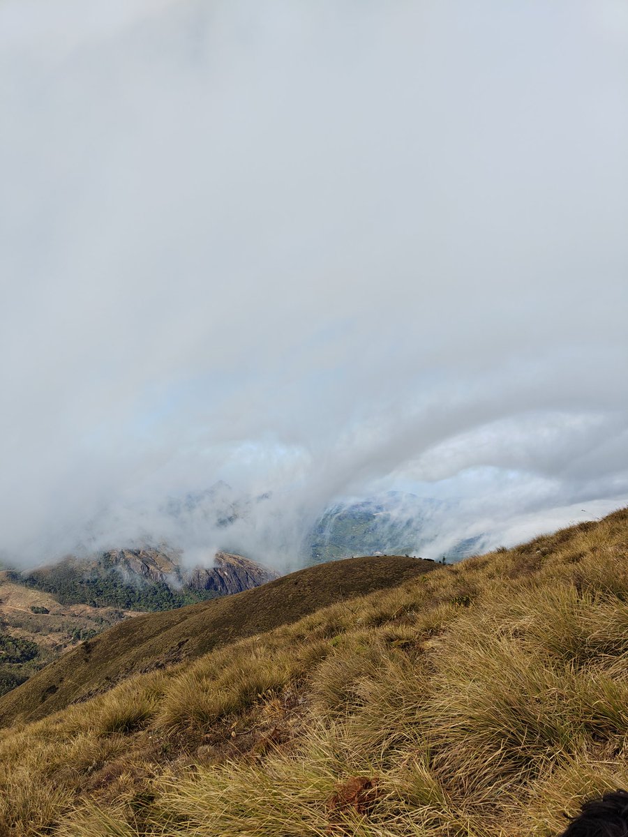 midhunraj647's tweet photo. #WithNothing
Clicks from the south India's second highest peak #Meeshapulimala using @nothing Phone 1
@getpeid @buildingnothing @MeghaVishwanath https://t.co/HsE63quRNx