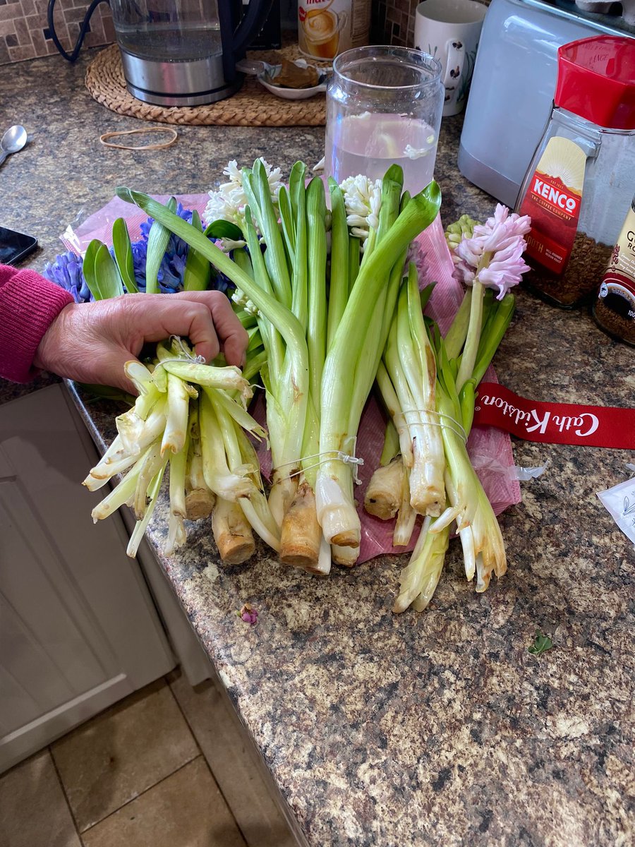 LindsayHickaz's tweet photo. @MoonpigUK look how my Mother’s Day flowers arrived!! All dead and no Cath Kidson vase when that’s what was paid for!! Disgusting! Chat function pathetic!! I demand an immediate refund! https://t.co/o6AXg0W64q