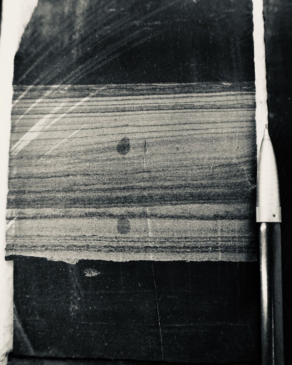 stratigraphix's tweet photo. Gallery of turbidites and debrites from the Permian Wolfcamp Formation, US.
#permianbasin #wolfcamp #sedimentology #stratigraphy #turbidites #debrites #geology #deepwater #sequencestratigraphy #sedimentgravityflows #unconventionalresourceplays #fractures #spraberry #bonespring https://t.co/Cf2AH7F1C4