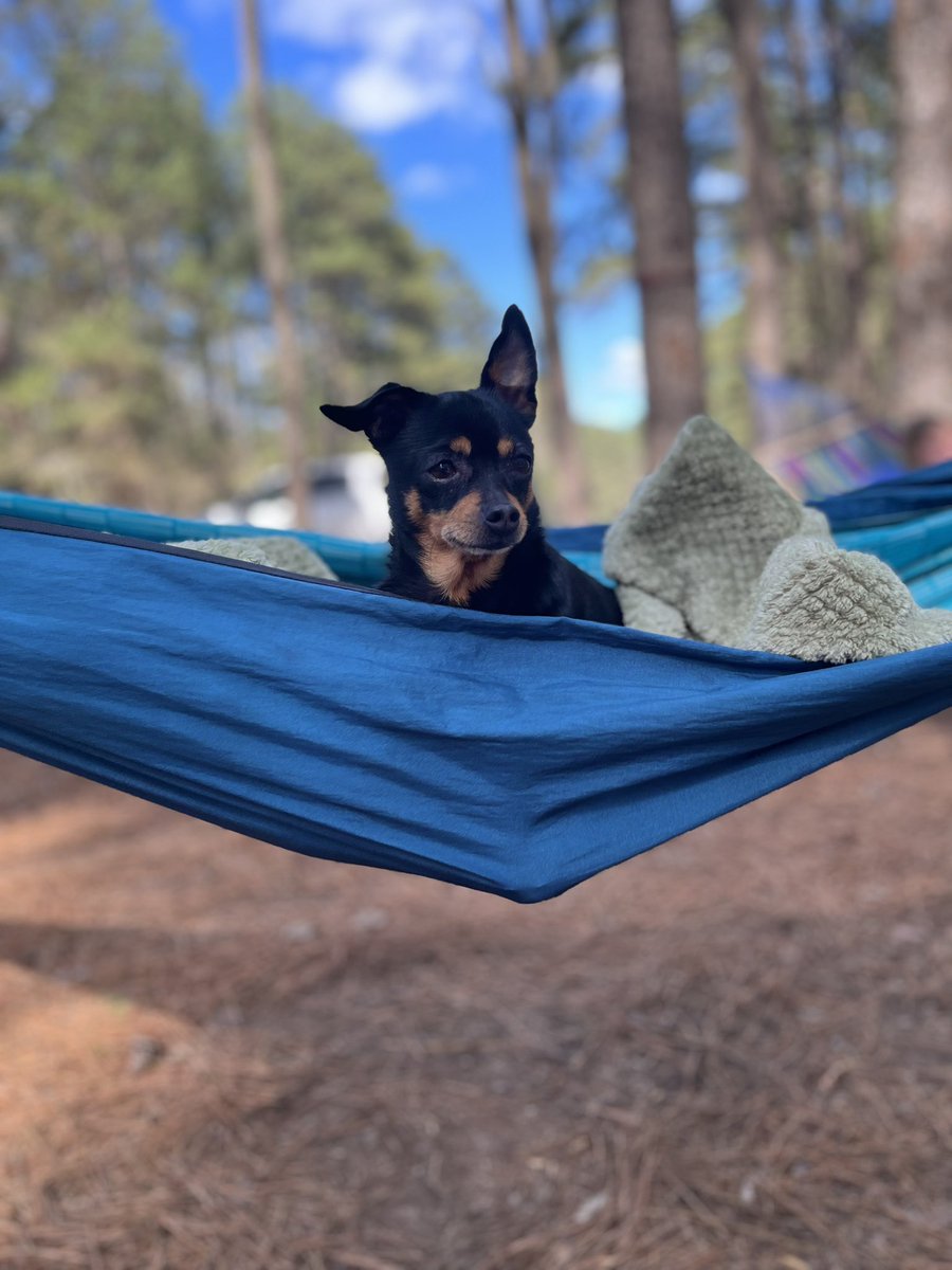 principal_witt's tweet photo. Spring Break has quickly come to an end. I did enjoy my quiet mornings, sunshine & coffee. Much needed R&R. #PrincipalsOnBreak #Camping #Coffee #goTXK #WeLeadTx https://t.co/QoJuNUTerh