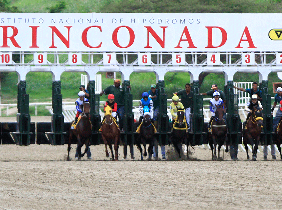 clubhipicoxtves's tweet photo. #LaRinconada Aun Tienes Tiempo de Realizar Tus Jugadas
8va Carrera de Hoy #Domingo , Llega Cortesia de Centro de Apuestas #Royal @apuestasroyall
Registrate https://t.co/MWG1wrk4Zi
Activado #5y6 #ClubHipicoxTLT #clubhipicoxtves #WorldBaseballClassic #Caracas .. https://t.co/vwPnJp3u7D