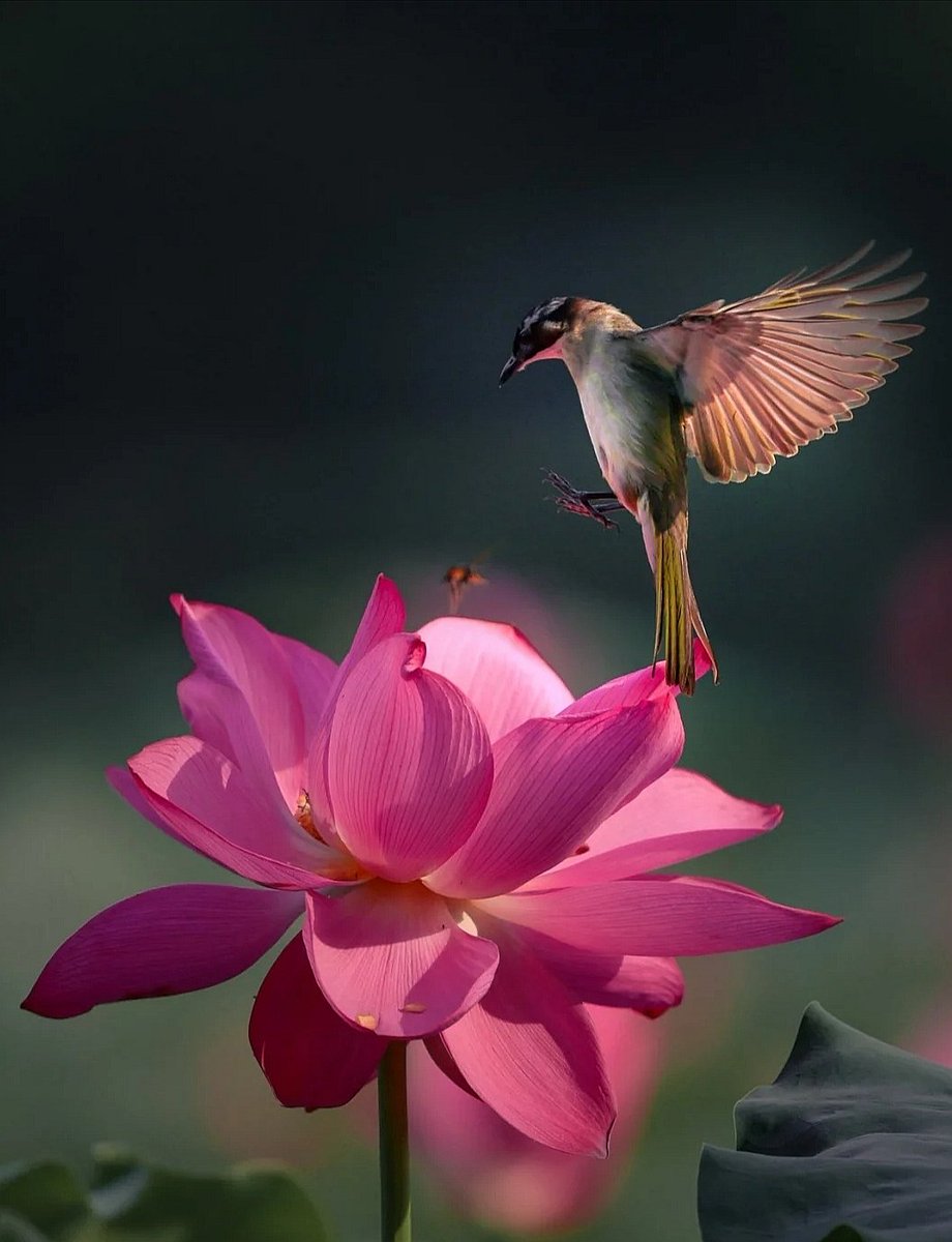 The things you do for yourself are gone when you are gone, but the things you do for others remain as your legacy.

N. D. Kalu