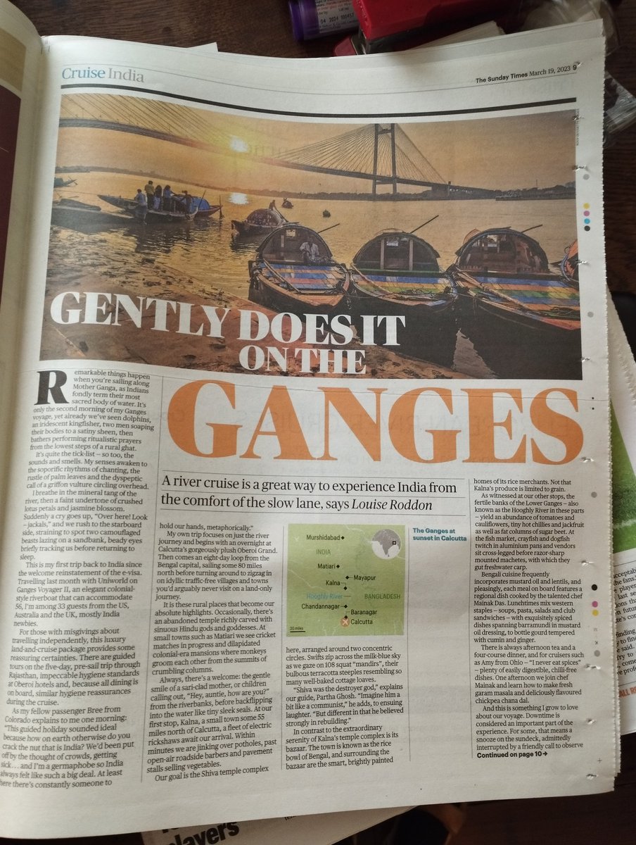 Louise Roddon tweet media