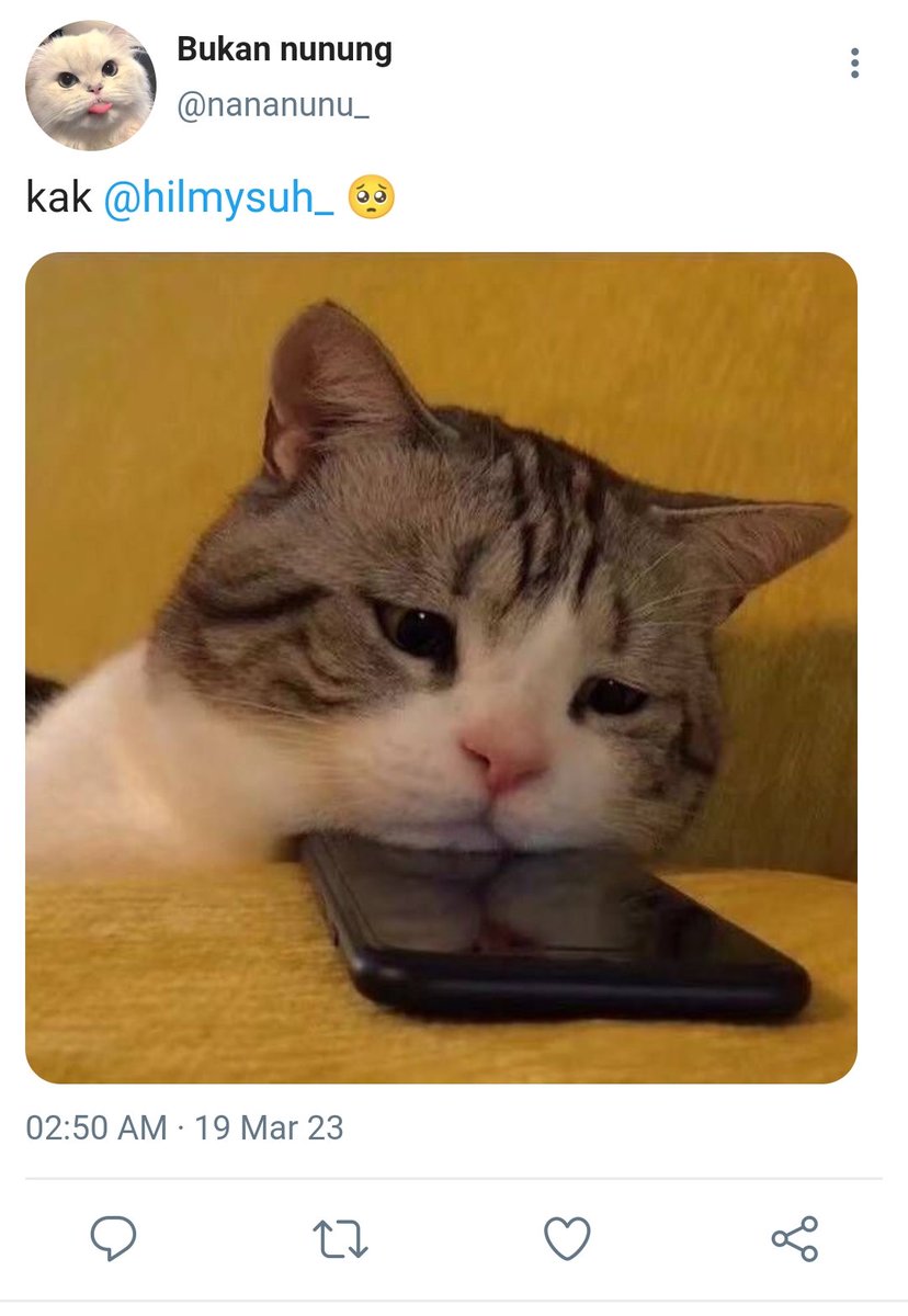 Candy🍭 tweet media