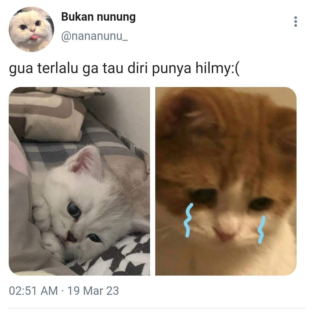 Candy🍭 tweet media