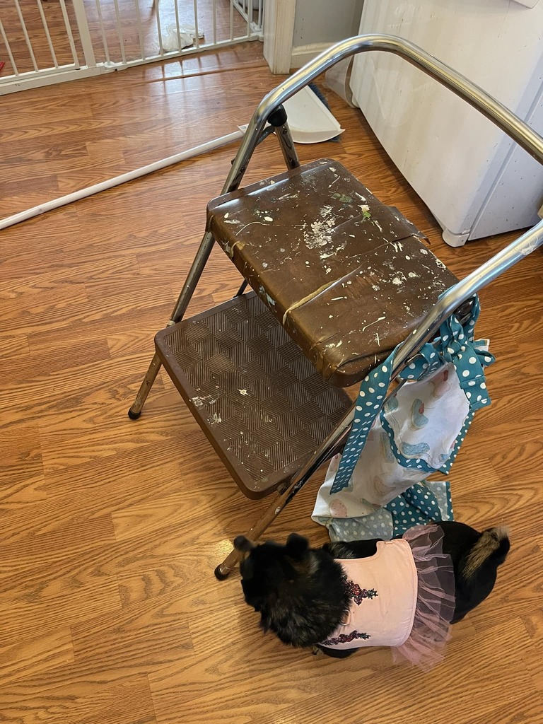 IlikeitFrantic's tweet photo. So many family members have come and passed and there are times a simple object brings memories flooding back. Anyone else have an item like that? Oh the family dinners at Grandma’s house and using this chair cause I was the shortest. To watching Pop use… https://t.co/JScBzyoY4f https://t.co/nqfyW9RGbE