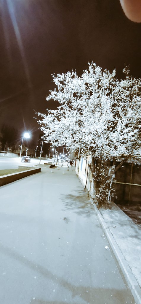 ZarafitK's tweet photo. #spring #Europe https://t.co/8QW81ITOSz