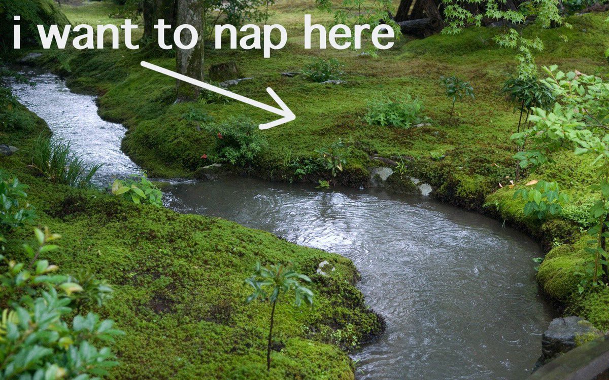 p1xelp1x1e's tweet image. 