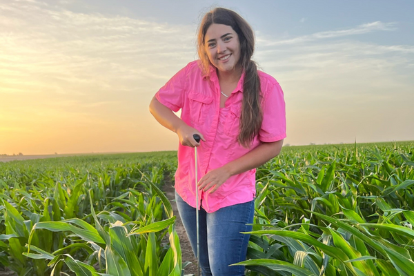 Agronomy, Crop, and Soil Science Societies tweet media