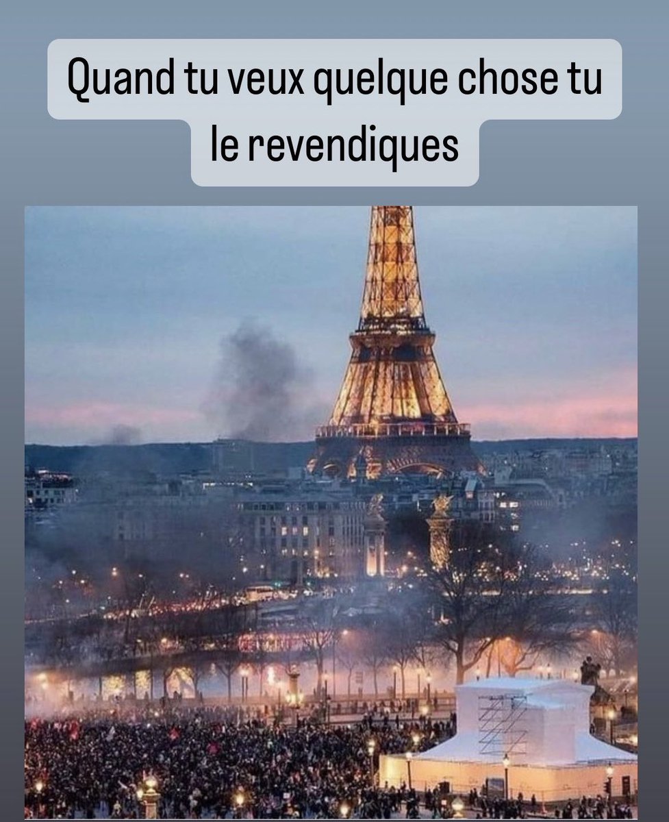 DiEM25 en France tweet media