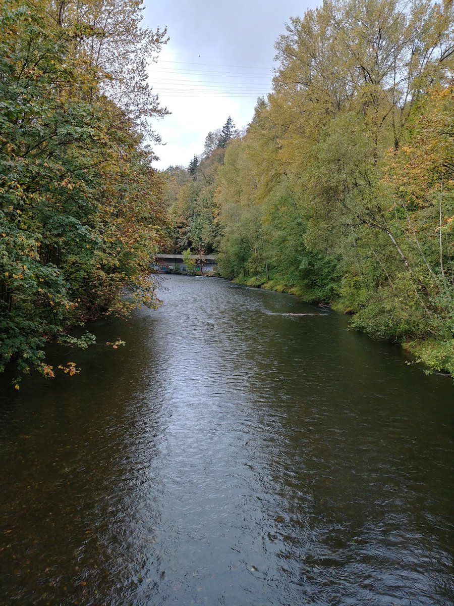 EverydayParks's tweet image. Riverview Park
Maple Heights-Lake Desire, Washington
4.4/5 stars (296 ratings)
#MapleHeights-LakeDesire #Washington