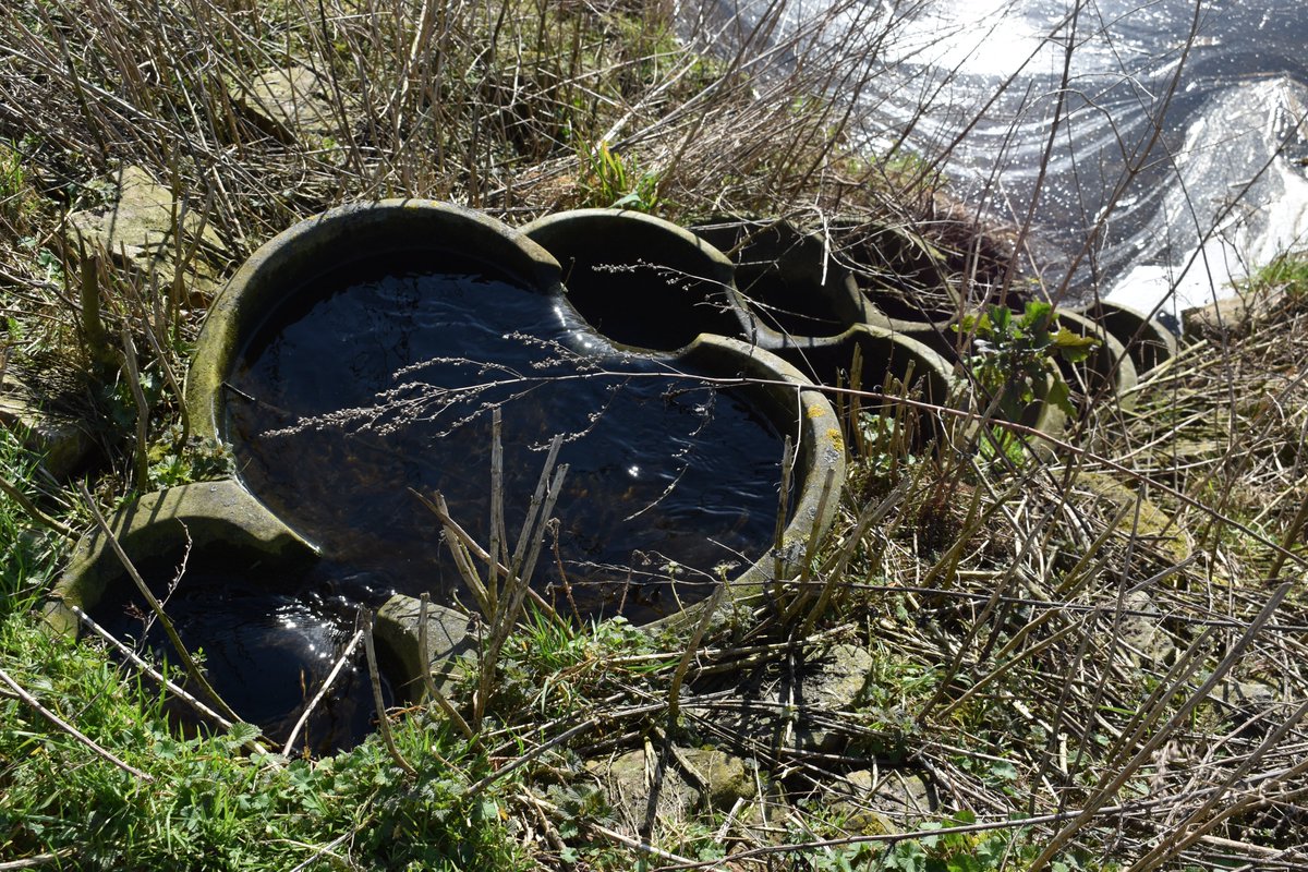 Climate_Scan's tweet photo. #Waterharmonica is a (natural) constructed wetland and ecological engineering solution for upgrading treated wastewater. With 15 full scale filters for ecological upgrading of 1000 – 40.000 m3 treated #wastewater per day its a #climateadaption BMP. Info: https://t.co/StsGGYH1eh https://t.co/HOONP0XDuK