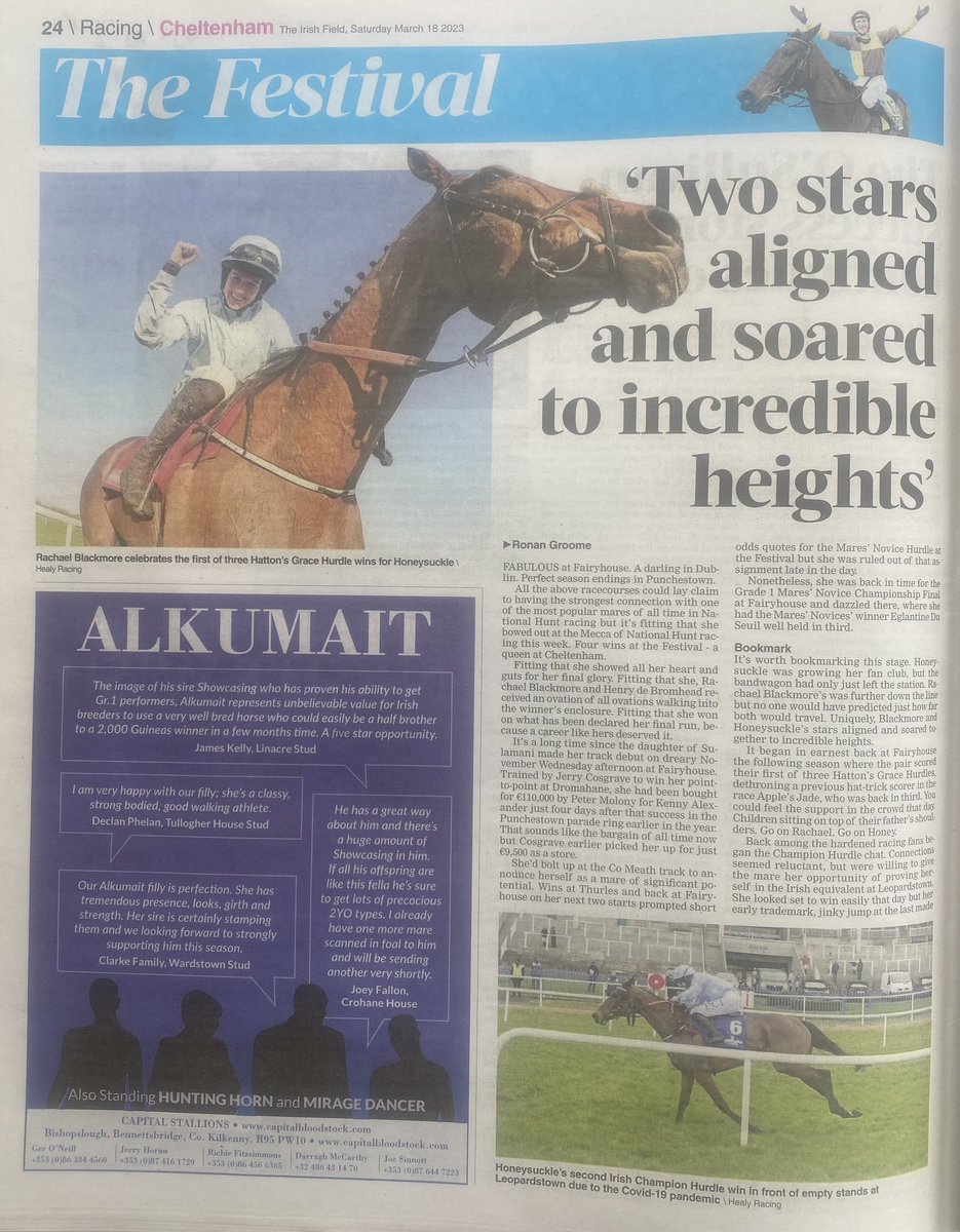 Pmolony1Peter's tweet image. For anyone silly enough not to get @TheIrishField There’s lots of wonderful articles on @CheltenhamRaces &amp;amp; most especially Honeysuckle, but, for me, this article by @ronangroome20 takes a bit of beating!! 👏👏👏🥲@rachaelblackmor @HenrydeBromhead