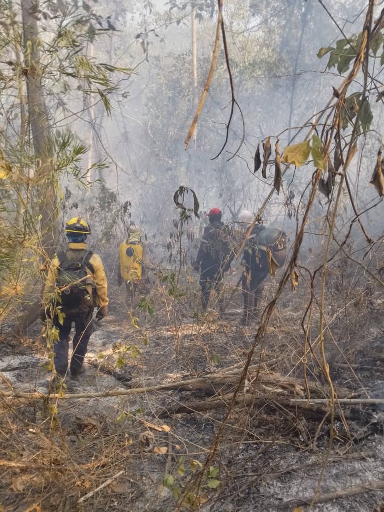 Pcivil_aragua's tweet photo. #Enterate El día de ayer se continúo las labores de extinción tanto por aire y por tierra con funcionarios y Voluntarios, igualmente contamos con la presencia de la Gobernadora del Estado Aragua Dra @Soykarinacarpio , G/D Edward Bentancourt Gudiño Comandante de la ZODI Aragua, https://t.co/b1g8EpbRAO