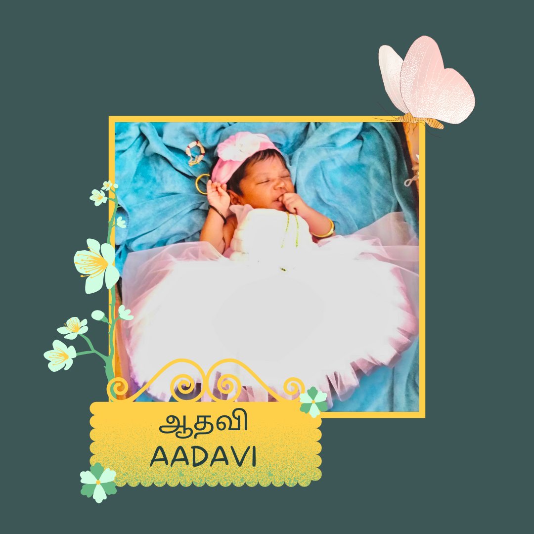 Dinesh SP🌲 tweet media