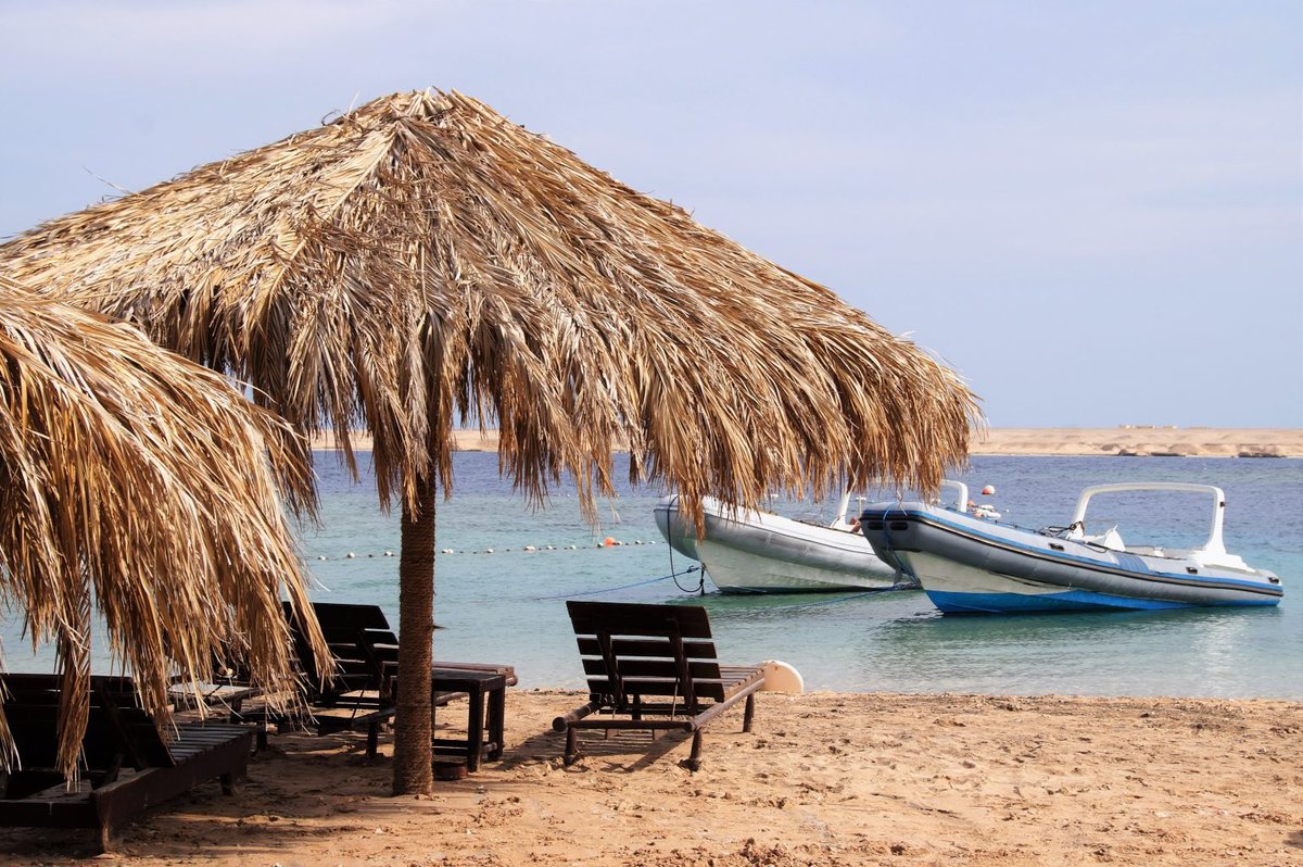 tour_tomy's tweet photo. Enjoy your trip at Sharm El Naga Bay Resort which is best known for its beautiful coral reefs and crystal-clear water.

https://t.co/Z8m6yx11wZ

#Trips #sharm_elshiekh #naga https://t.co/tJU90U3nZW