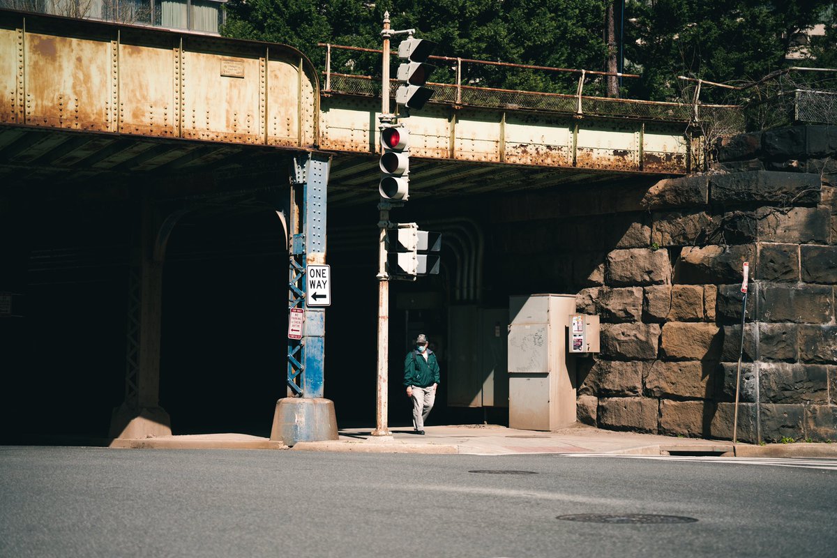 titaniumvisuals's tweet image. blossoms and stuff