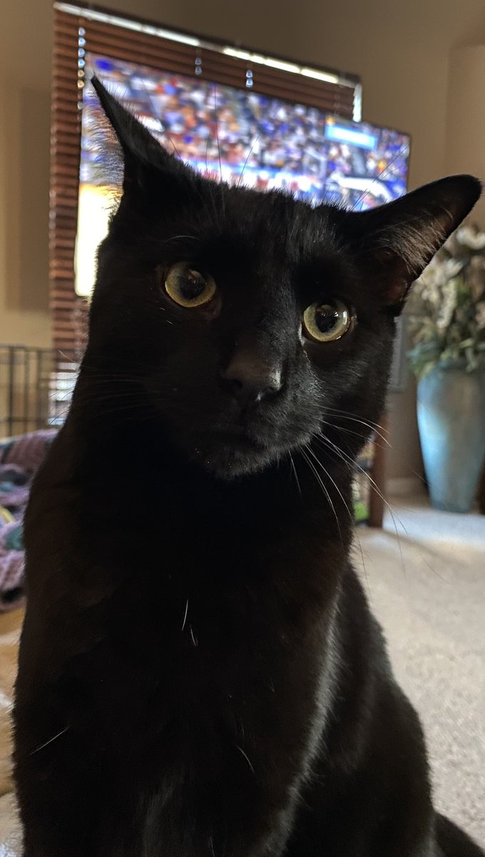 LoganLukeLloyd's tweet photo. Lloyd says have a good weekend, frens https://t.co/bGQi1Xgb9M