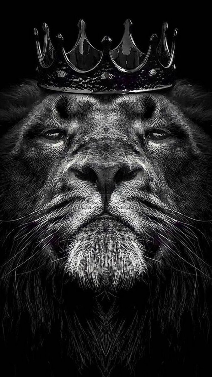 joebonsall's tweet photo. “The wolf will live with the lamb, the leopard will lie down with the goat, the calf and the lion and the yearling together; and a little child will lead them.”
Isaiah 11:6 NIV

Photo THE LION OF JUDAH

Happy Sunday everyone https://t.co/Nf0hDglpxZ