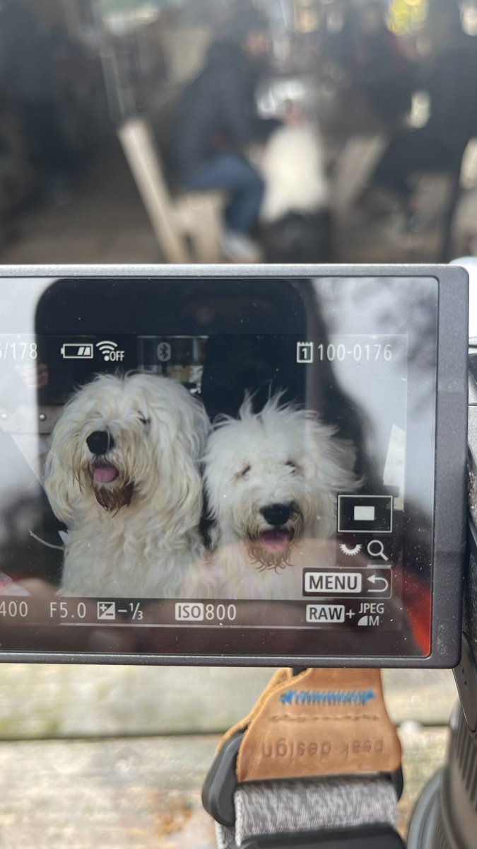 NommieNom's tweet image. #menswalk2023 #backofcamera