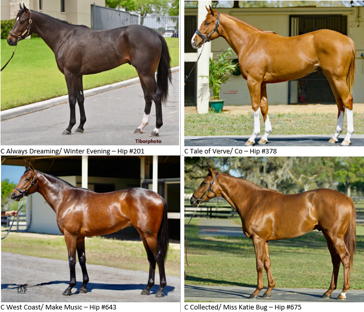 Kathie Roller-Stell tweet media