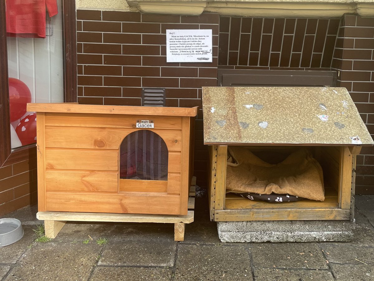 TycjanC's tweet photo. Calling all #Gacek fans, in #Szczecin and around the world - our favourite fat cat has a new house! Someone’s made him a new residence, which he doesn’t seem to be using, and TVN24 is filming his adventures. Fame! 😸😸😸#CatsOfTwitter https://t.co/Rtf6vVVDcF
