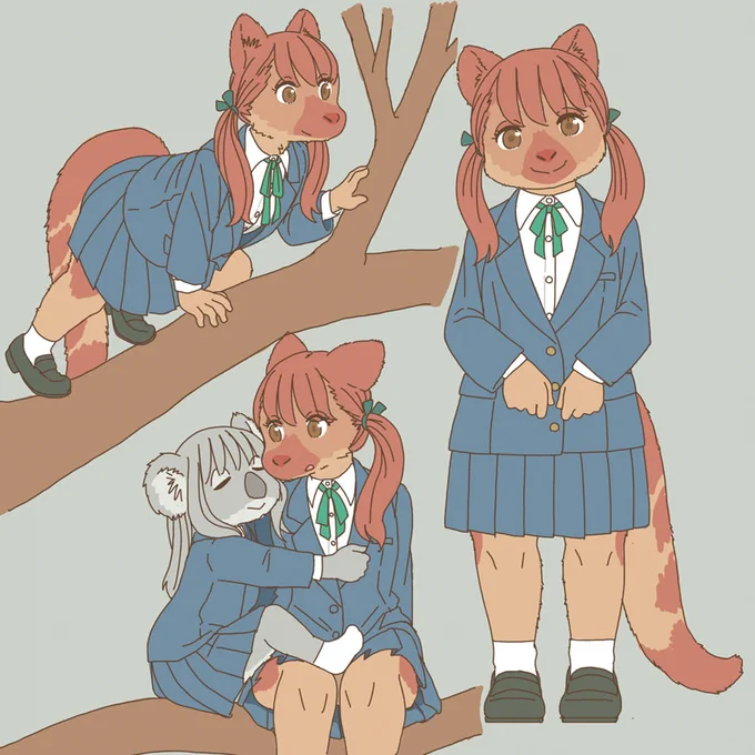 キノボリカンガルーの同級生 