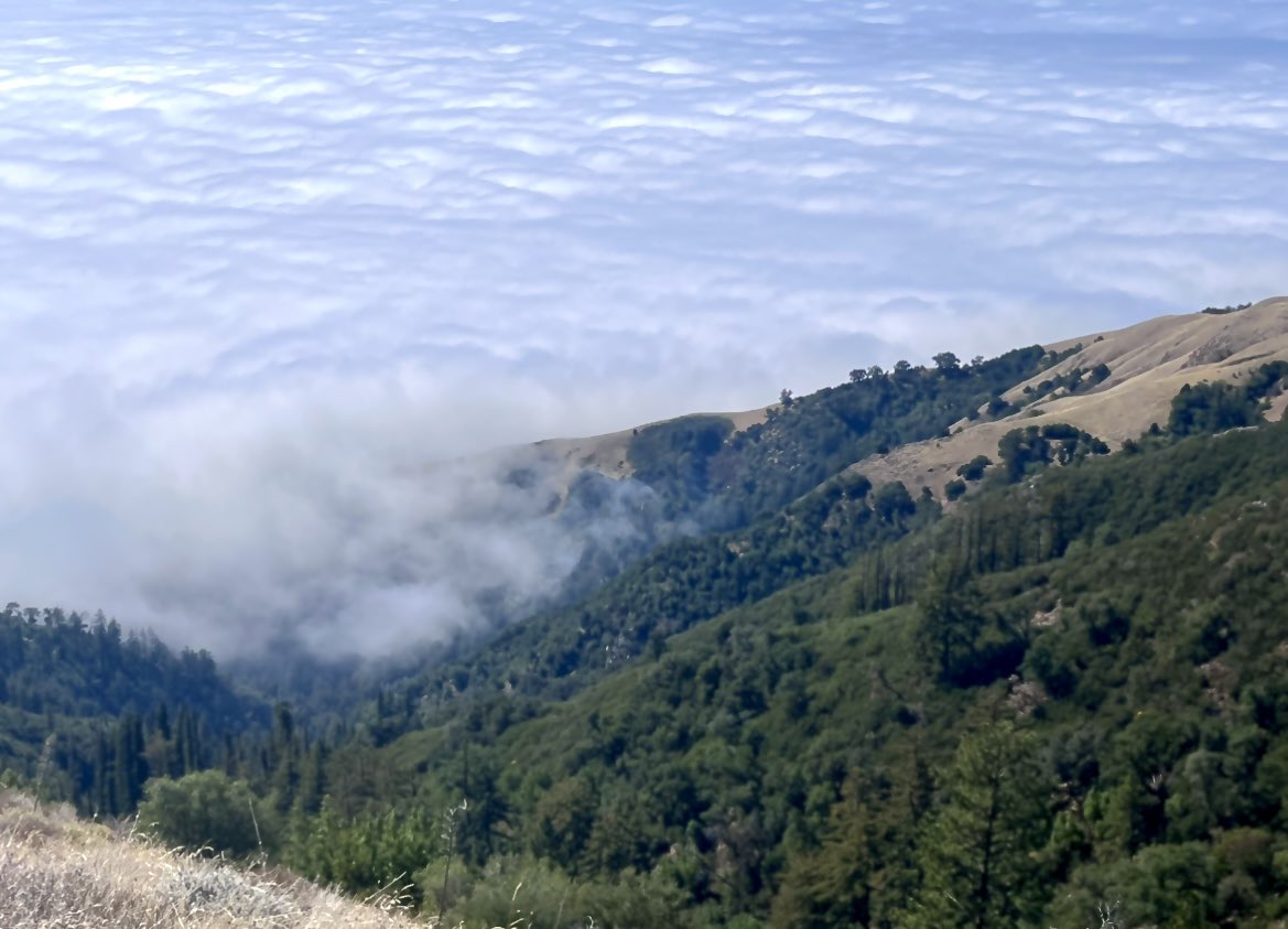 GetAfterIt4U's tweet photo. Gorgeous early Sat. A.M. yesterday for another #mountain🏔️trek. Beautiful fog bank hovered while traversing🥾thru a series of ridges. Clocked 9.4 miles (2,677 elevation)✅ Views have been earned😮‍💨💪🏼!

#hiketolive #getoutside #getlost #keepitwild #climb #gowhereyoufeelmostalive https://t.co/TpI2JDqgiZ