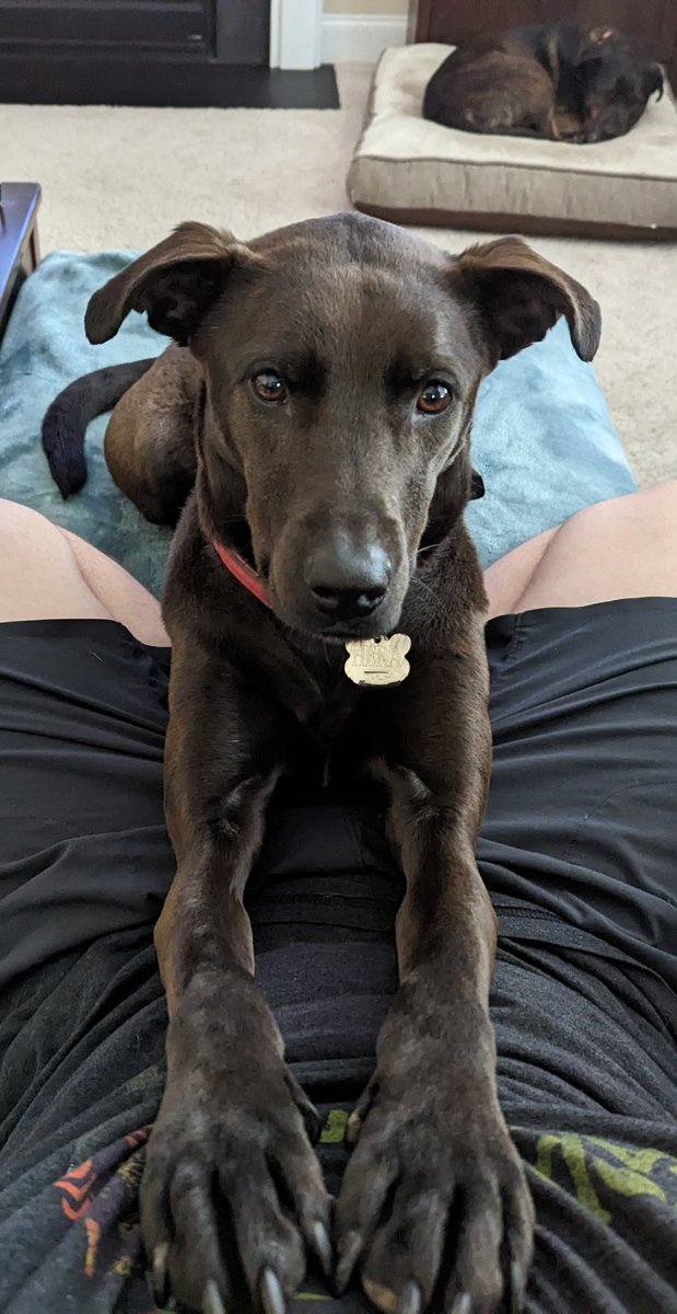 MarkstromTV's tweet image. Good morning :)
Final day of prep before a full week of raising money for the kids with @GamersOutreach