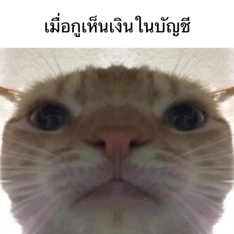 bbigkachu's tweet photo. เงินหายไปไหนหมดวะ 55555555555555 https://t.co/AWK1uPMKO3