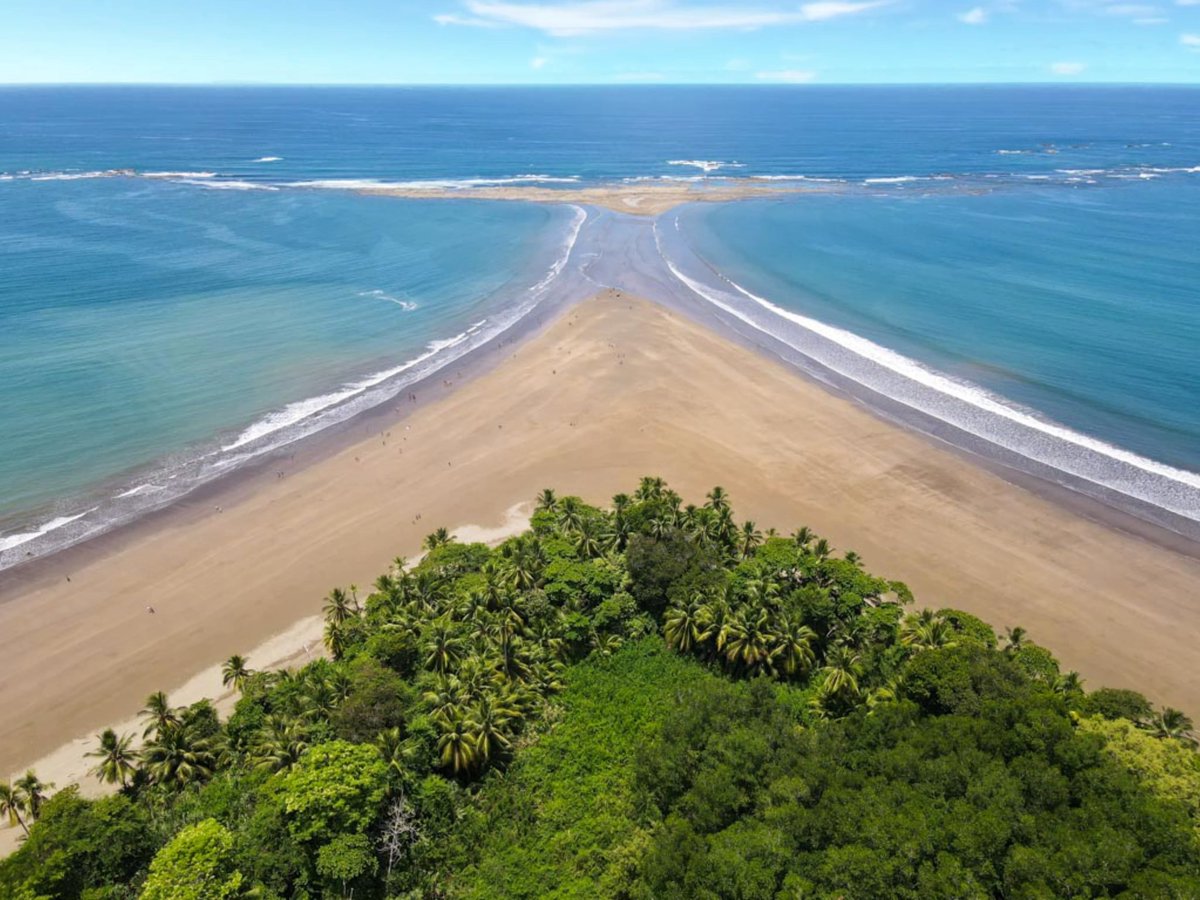 Maria F Castro tweet media