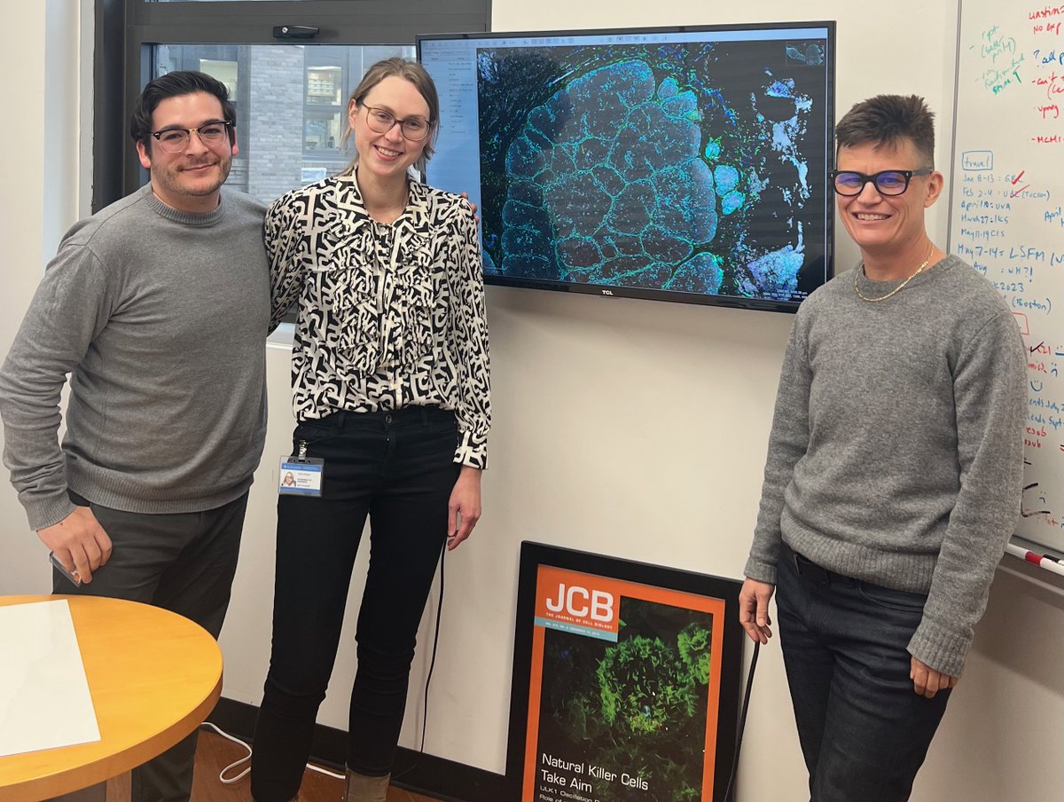 janine_melsen's tweet photo. I had a blast! It was a pleasure to work with all the amazing people in the 100% NK cell dedicated lab of  @mace_em. @HegewischSolloa, thank you for teaching me how to create these beautiful images (and for being my NYC tour guide). Teamwork makes the dreamwork! https://t.co/yoxkmKwZKU