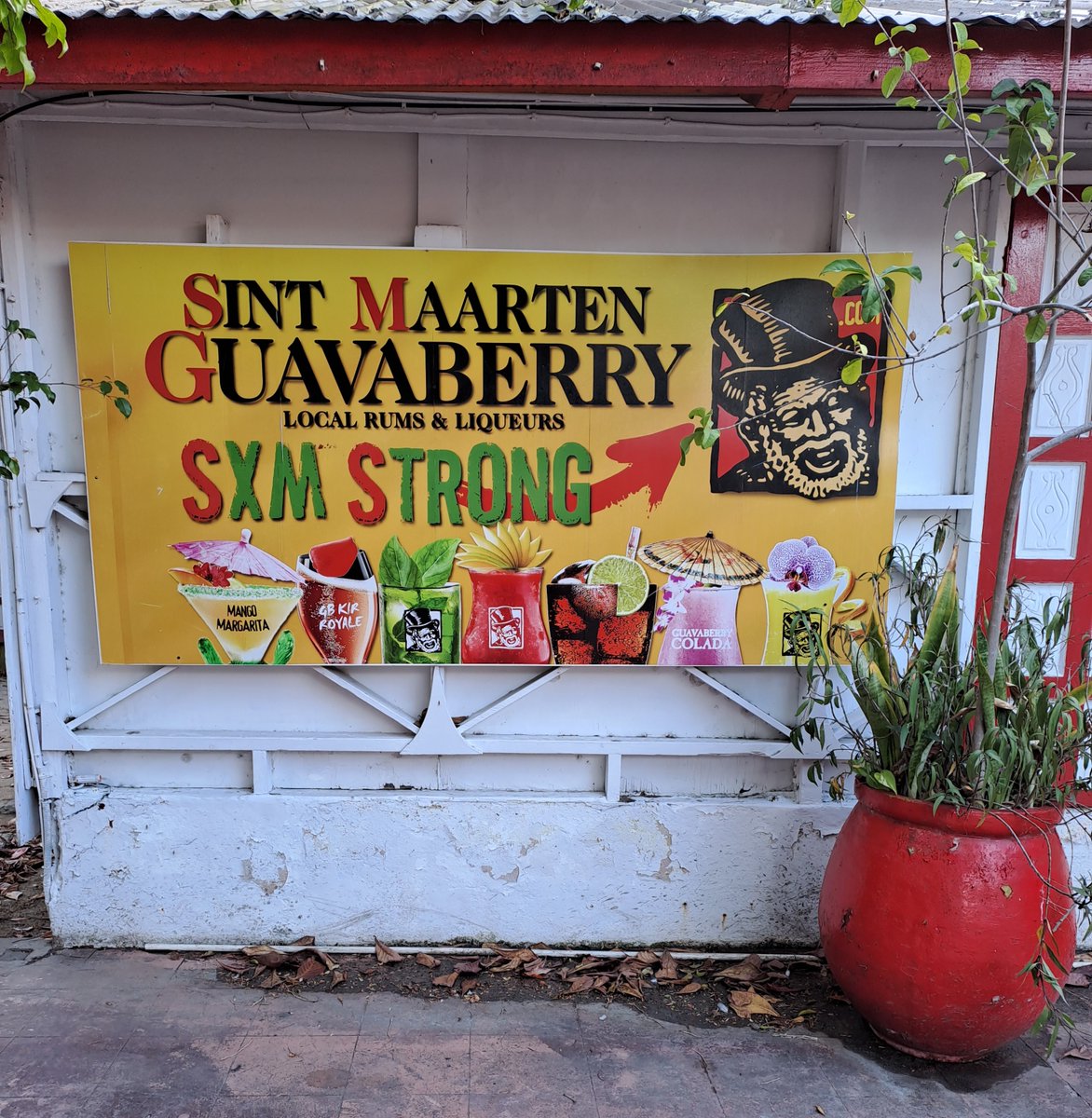 elrebuderelatos's tweet image. Guavaberry, el licor de las Antillas a base de frutas cocidas en almíbar con canela, ciruelas, pasas y maceradas en ron y añejado durante meses.
Una más de las riquezas de el Caribe.
Eso y más en Los niños de Babel:
amazon.es/dp/B0BF3884J4

#LosniñosdeBabel #Caribe #Guavaberry
