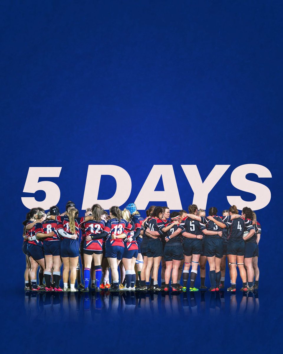 ⚠️5 DAYS⚠️
Less than a week until our 1XV and 2XV take on Northumbria for Varsity 2023 💪

#PrideintheLioness #nuwrfc