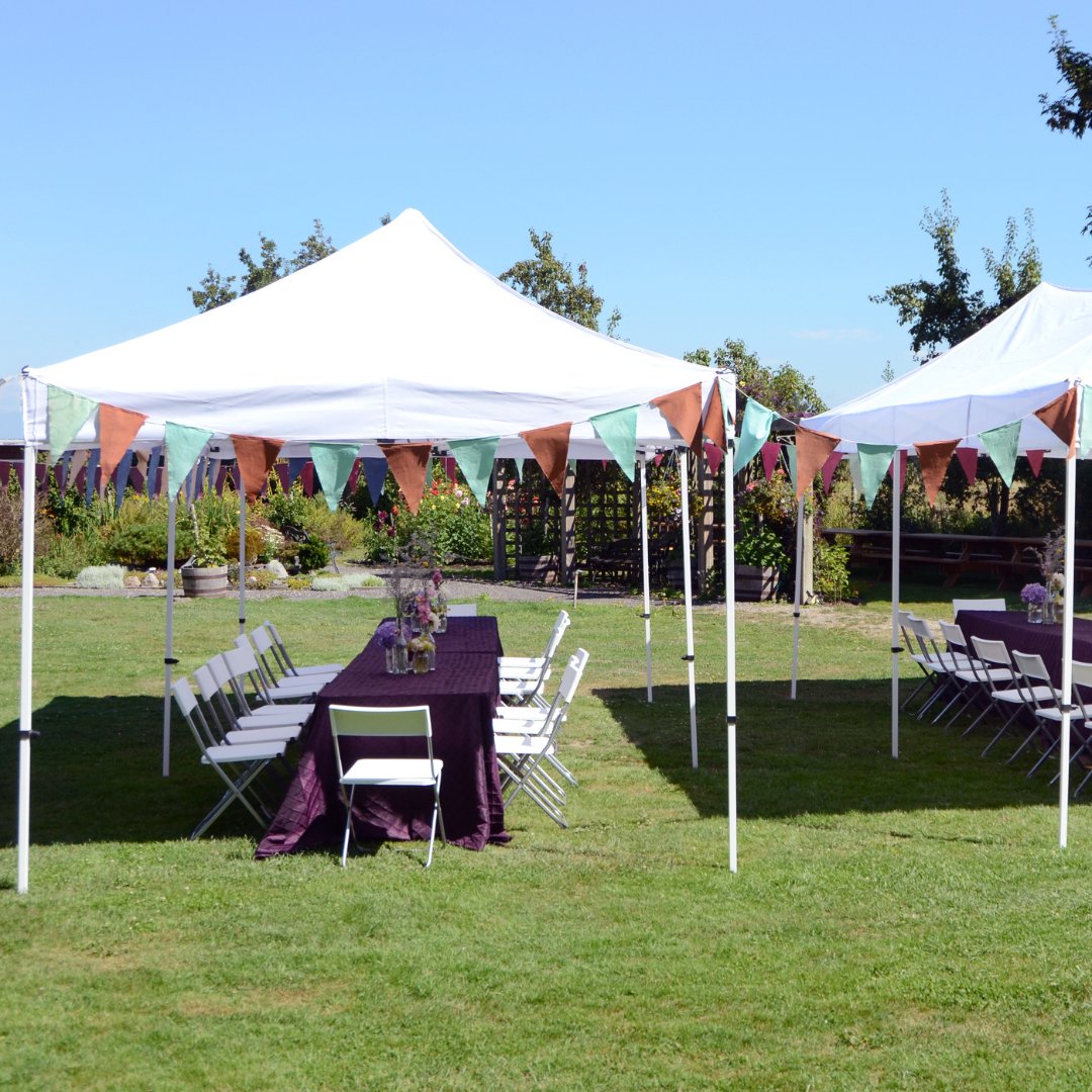 Zodiac event displays - Zodiacstock.com