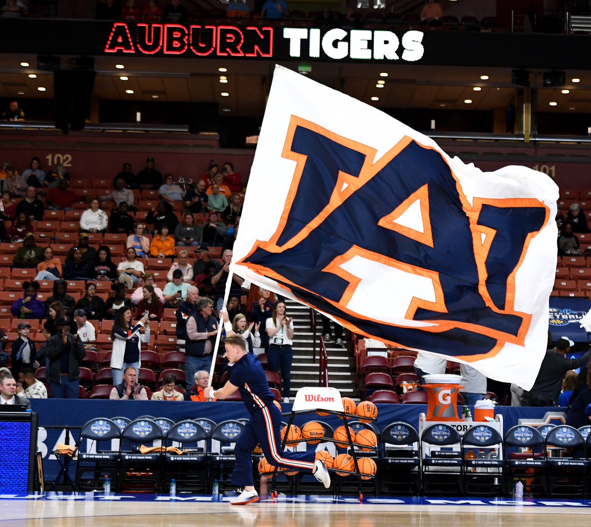 Auburn Cheerleading tweet media