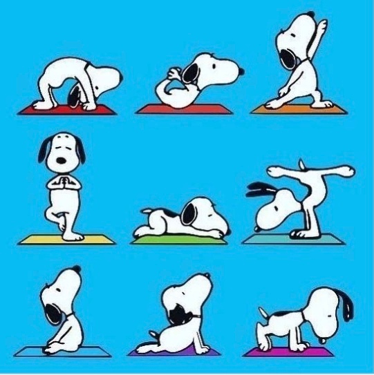 maatactive's tweet photo. Sundays are for ____________.
Whatever you do, hope it’s enjoyable 🖤
#SundayFunday #sundayfunnies #funnies #sundaypapers #sundayswithSnoopy #Snoopy @snoopy #yogawithSnoopy #sundayyoga #movetorest #doga #yogawithdogs #cannonmediagroup @cannon_fashion #blackcoffeeinbed ☕️ https://t.co/awWgixDuof