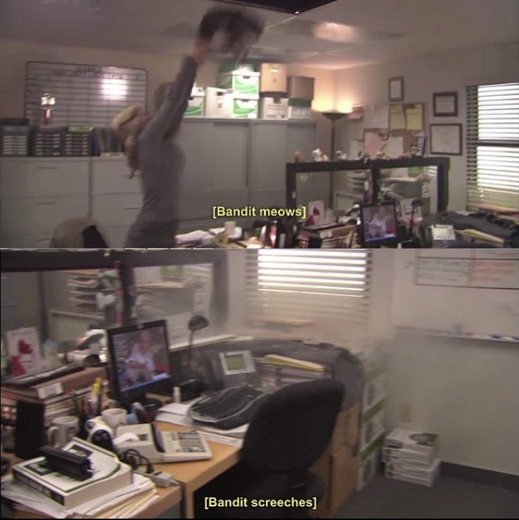 scrantonsoffice's tweet photo. https://t.co/pP2u0p7W63