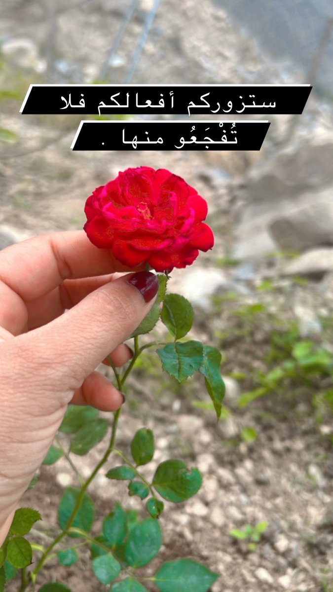 ستزورگم افعالكم فلا تفجعو منها …