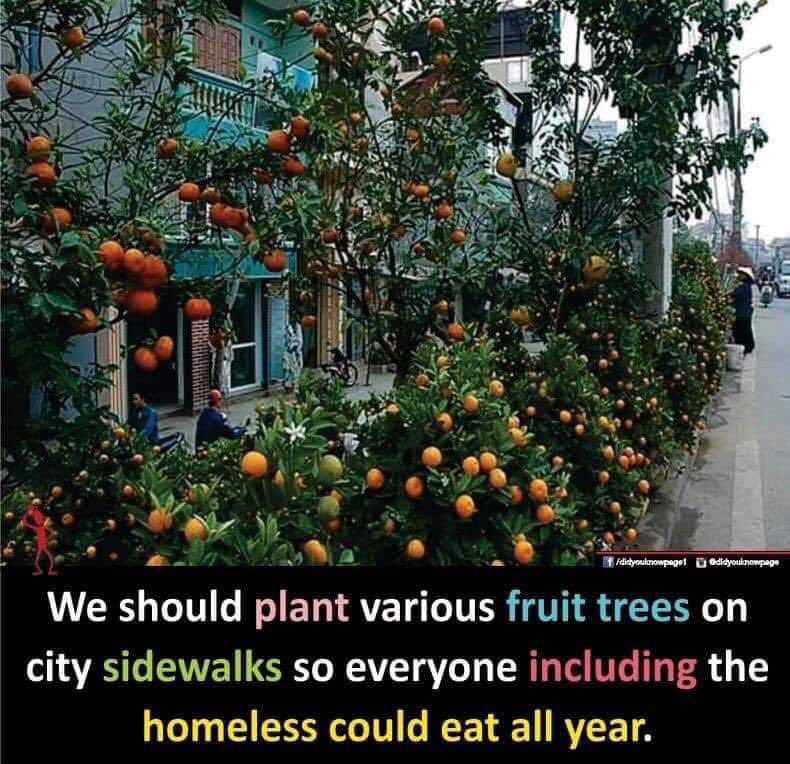 TauqeerN1's tweet photo. #KindnessToAll https://t.co/4mPHFWqvqU