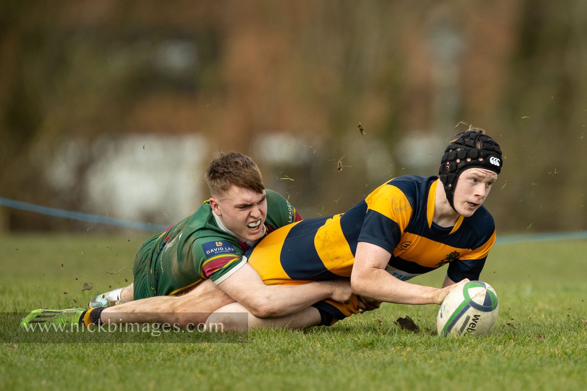 Nick B Images tweet media