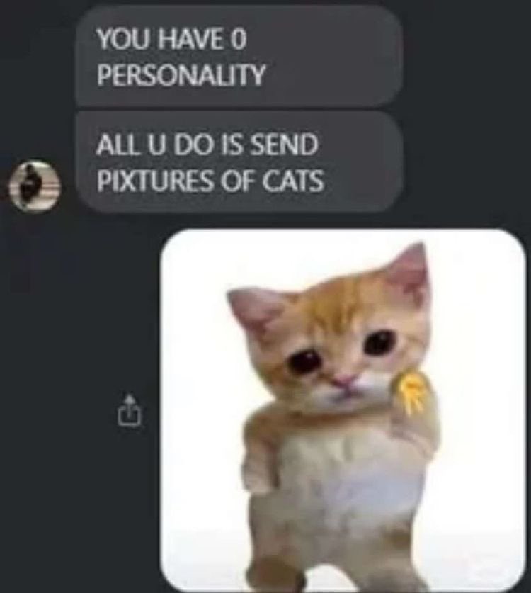 chaotic cats (@chaoticcatpics) on Twitter photo 