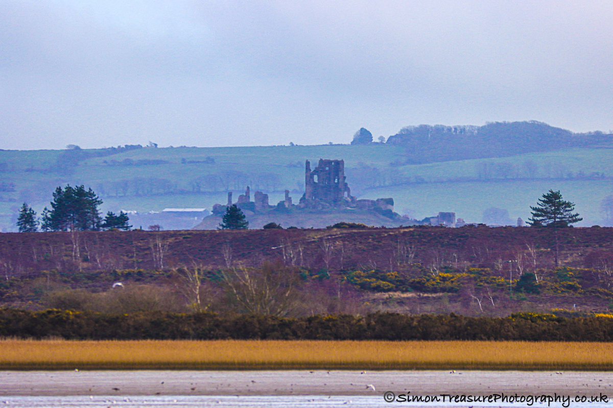 A different view of Corfe castle, from a boat trip around Poole harbour @CorfeCastleUK @VisitWestDorset @harbourbirds @Bournemouthecho @StormHour @ThePhotoHour @PoolePost #corfecastle #pooleharbour #purbeckhills #ukshots #ukpics #poole #dorset #boatrip #outandanout