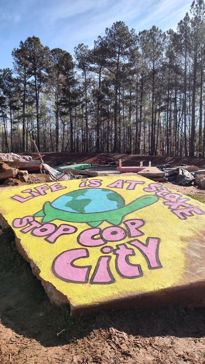 defendATLforest's tweet photo. https://t.co/5GkjxHpi0j
