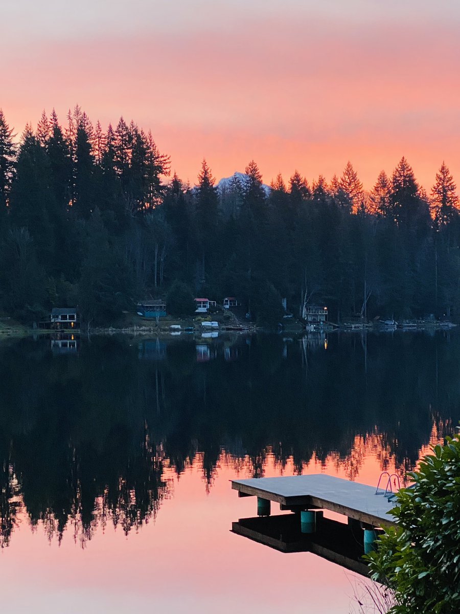 HazelandRemy's tweet photo. Day 2 of Hazel & Remy’s Lake Adventures:
- #LakeWatch
- #SundayFunday #sunrise
🌊 🐟 🦆🌲🌄 — Hazel and Remy https://t.co/ocou8n1Xxp