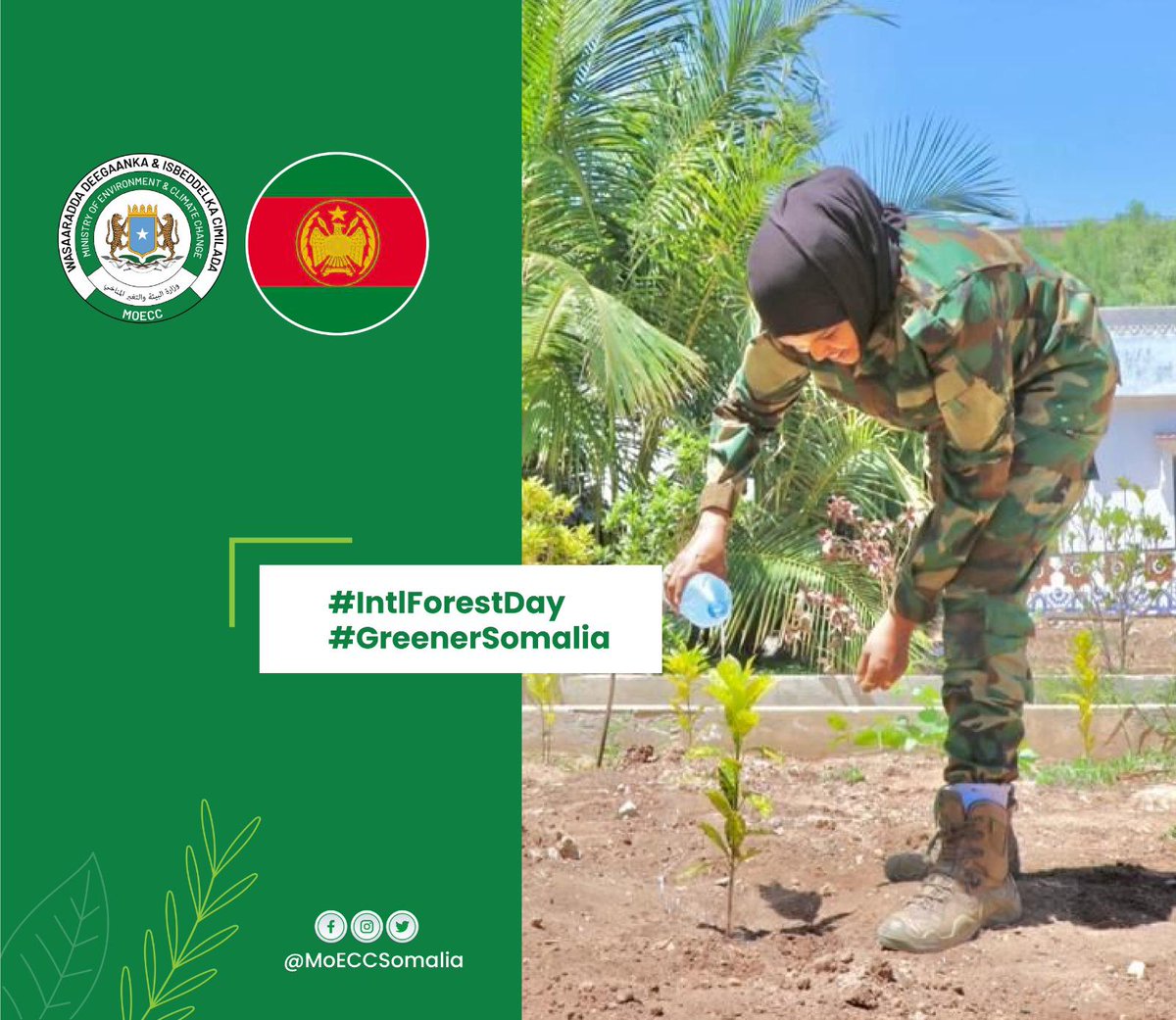 Planting a seedling is a seemingly small action but with a huge impact. Lt Colonel <a href="/Imaan_Elman/">Iman Elman</a> want us 2 work together &amp; take on the practises of the #SNA 2 make tree planting a regular habit &amp; create a more sustainable, resilient environment for #GreenerSomalia #IntleForestDay