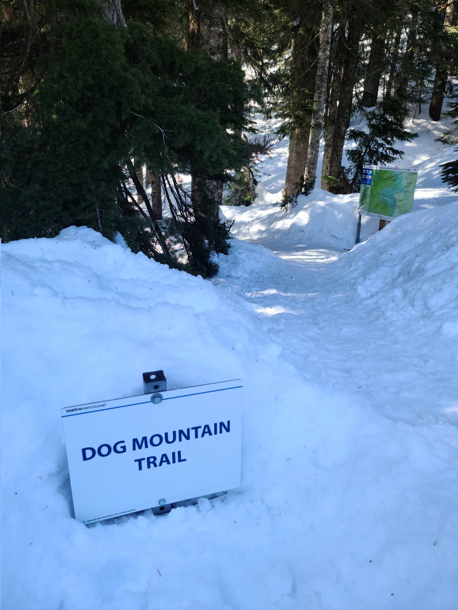 LV_LIVING's tweet photo. Microspikes are essential for this weekend's trail conditions on our local mountains. Saw many boots, sneakers &amp; Blundstones, slipping &amp; sliding up &amp; down slopes. 🥾🎒

Post-holing in areas less traveled, so stay on the trails if you don't have snowshoes!  😎

#northvan #westvan https://t.co/EPgl8TwUB8