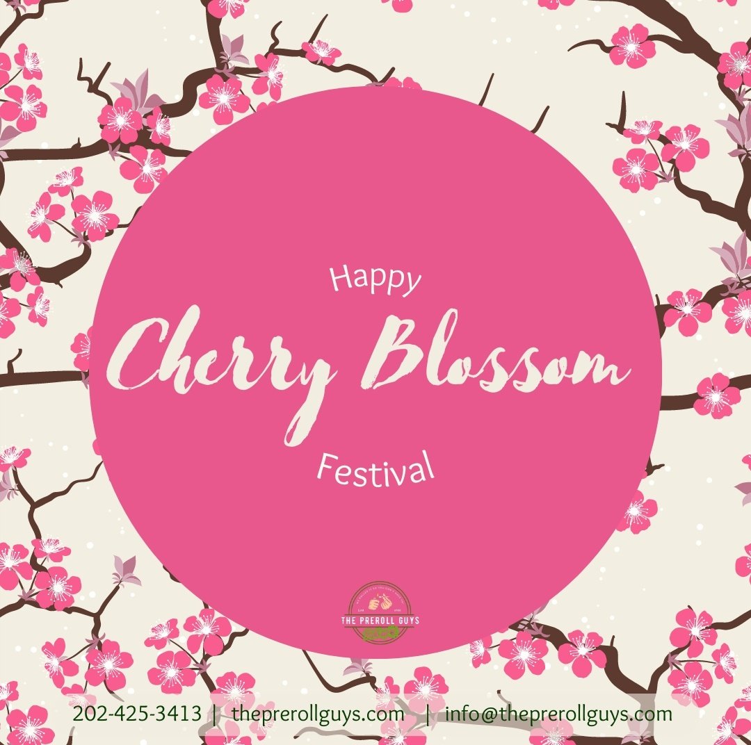 'Everything blooms on its own time.' - Ken Petti

Now is the time!🤗 Happy National Cherry Blossom Festival everyone!🌸😊

#theprerollguys #WashingtonDC #cherryblossomfestival #cherryblossomfestivaldc #cherryblossomsdc #thingstodoindc #weekendideas #DMV