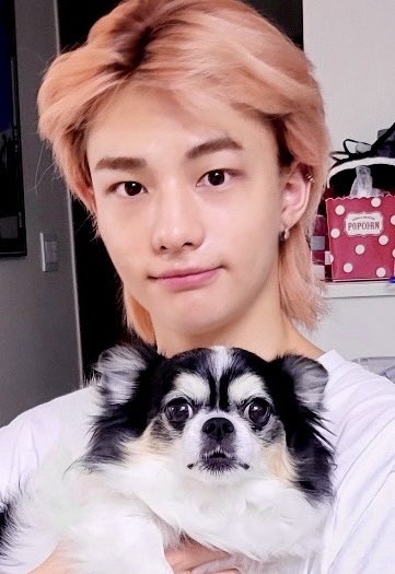 percentforyou's tweet photo. 용맹하다 https://t.co/tnFDPdjnYg
