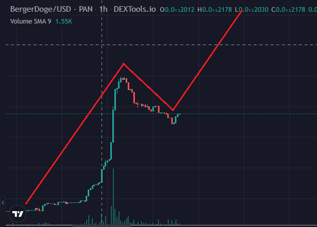 BergerDoge Coin tweet media
